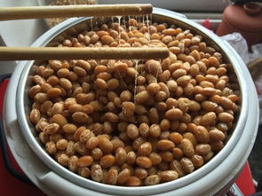 精美納豆 家常菜譜大全,納豆怎么做,納豆如何做