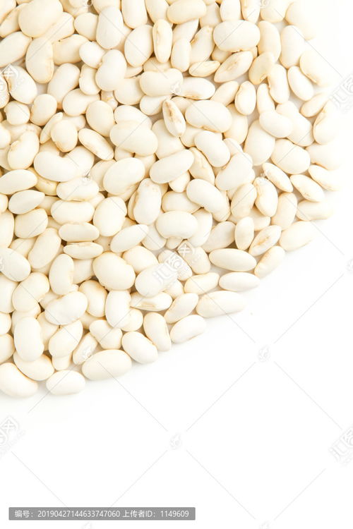 大白蕓豆圖片素材下載 食品餐飲素材下的五谷雜糧圖片素材