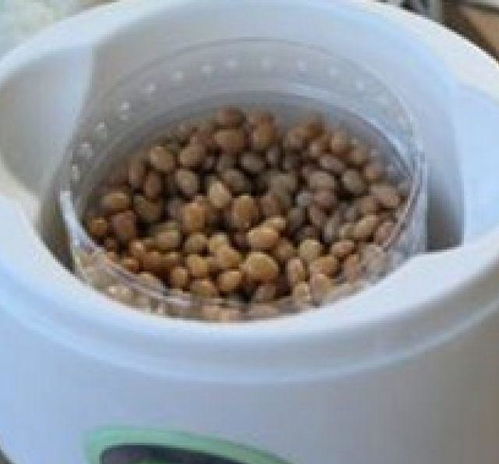 納豆,教你在家自制,拉絲長,兩分鐘就學會,一次成功