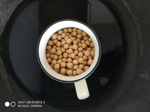 鮮納豆的做法 鮮納豆怎么做