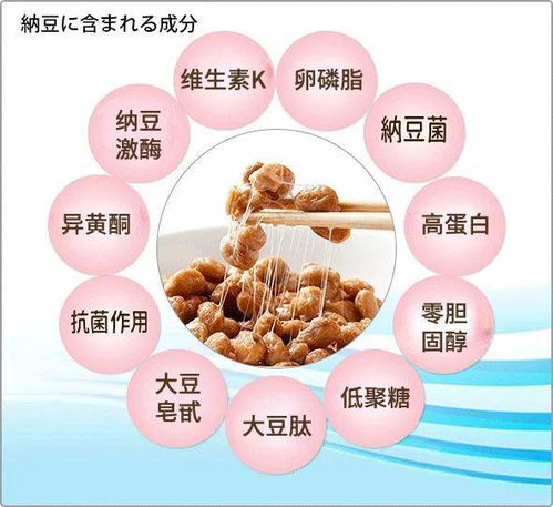 小豆子大效用 營養又美膚的納豆你了解多少