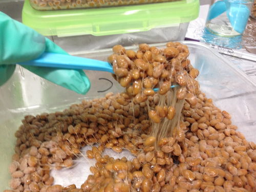 吃納豆,更長(zhǎng)壽