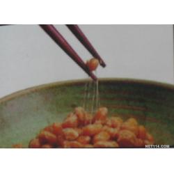 西安市酵素批發(fā) 酵素供應(yīng) 酵素廠家 