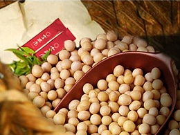 yss默的主頁(yè) zcool