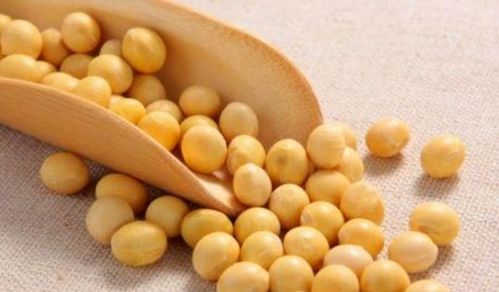 血小板增多癥飲食推薦 吃納豆能預防血栓