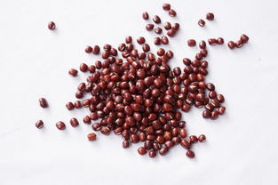 紅豆粗糧圖片設計素材 高清模板下載 8.32mb 飲品美食大全