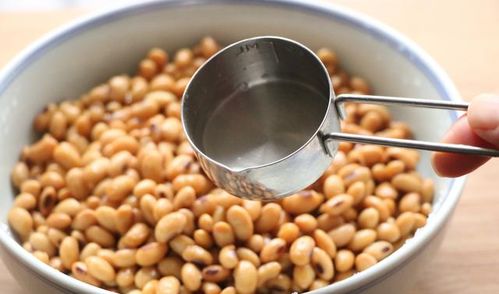 自制納豆 營養豐富，軟糯拉絲，做法超簡單