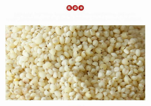 奈曼旗老哈河草原八珍禮盒 營養與風味的匠心臻選