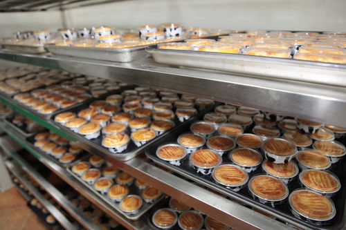 健康食品，用心經營 法浦芮食品科技新工廠正式開工，納豆新品引領營養新趨勢